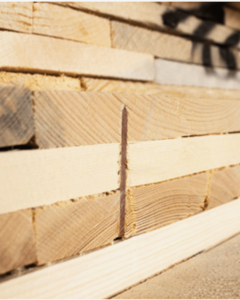 Lignin-Adhäsion: Das Geheimnis hinter unseren LIGNOLOC® Holznägeln 🌿🔩