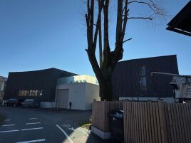 🌿 Nachhaltiger Holzbau am Mondsee – Mit LIGNOLOC® Holznägeln 🏡