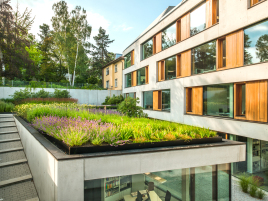 Abwechslungsreich und optisch ansprechend - das Optigrün-Naturdach.