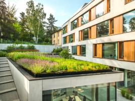 Abwechslungsreich und optisch ansprechend - das Optigrün-Naturdach.