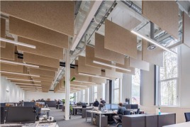 🔊 Natürliche Akustik für ein modernes Büroambiente! 🌿🏢