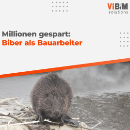 Biber als natürliche Bauarbeiter: Millionen gespart! 🦫💰