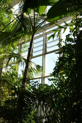 Ein Paradies unter Glas: Die Gruson-Gewächshäuser in Magdeburg