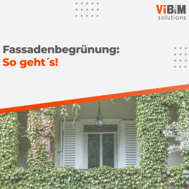 Grüne Hausfassade: Tipps zur Begrünung 🌿🏠