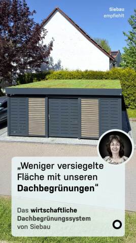 Dachbegrünung von Siebau