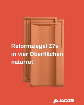 Dachziegel für Sanierungen gesucht?