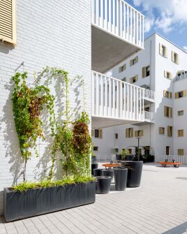 🌱🏙️ Urbane Vision mit Charakter