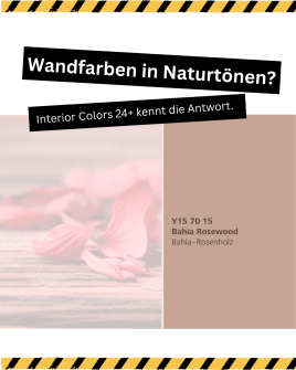 Altbau, Zeitdruck, Pampasgras – wir packen das! 💪