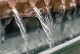 Wie und wo lässt sich Regenwasser filtern? 🌧️