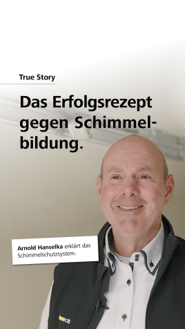 🛡️ Dauerhafter Schimmelschutz im Innenraum