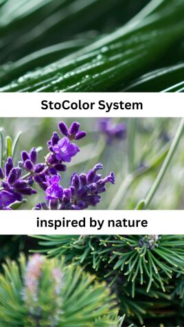 Natürliche Grüntöne 💚