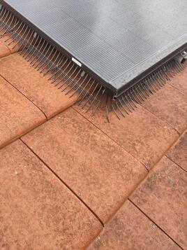 🕊️ BirdBlocker jetzt auch mit Einlegesystem im Einsatz