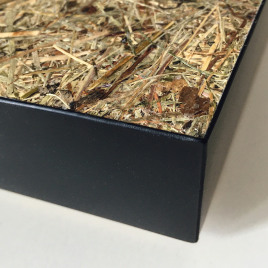 Naturoberfläche trifft Raumakustik