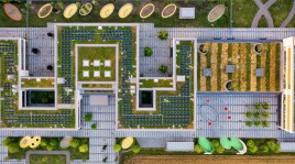 Solargründächer auf Schulen – Energie und Ökologie in einem System.