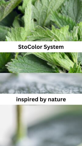 Naturinspiration und modernste Töntechnologie ✨