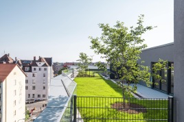 Mehr Lebensqualität in verdichteten Innenstädten durch intensive Dachbegrünung.