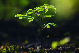 🌍 Klimaschutz beginnt auf der Baustelle – und bei der Wahl der richtigen Partner.