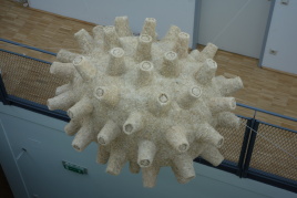 Corona Kunst?