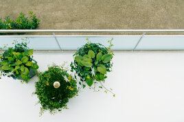 ⚠️ Balkonböden sanieren