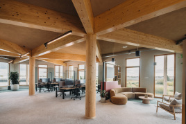 Natur-Klimadecke in Wabenform