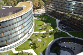 Erste Campus Wien – Dachbegrünung als zentraler Bestandteil nachhaltiger Unternehmensarchitektur.
