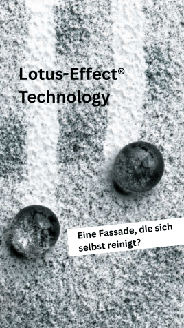 🪷 Fassadenfarbe mit Lotus-Effect® Technology