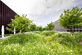 Dachlandschaften für moderne Arbeitswelten am Sparkassen Campus in Bremen.