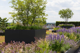 New Work braucht mehr als flexible Büroflächen – es braucht Orte, an denen Menschen gerne zusammenkommen.