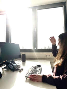 Sind Innenbeschattungen besser als Außenbeschattungen?