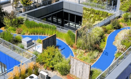 Flachdachlösungen für klimaresiliente Städte
