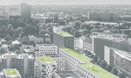 Optimale Dämmung von Gründächern