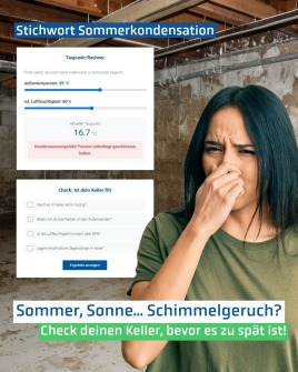 Sommer im Keller: Warum „Lüften“ jetzt genau das Falsche sein kann.