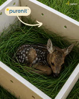 🦌 Erfolgreiche Rehkitzrettung mit einer Kitzbox aus purenit