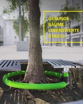 Gesunde Bäume – lebenswerte Städte 🌳🌿