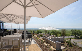 FILIUS: Der langlebige MAY-Bistroschirm