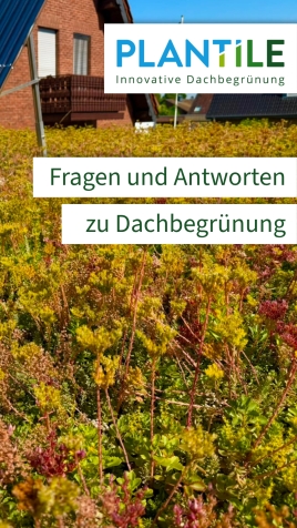 Plantile® FAQ – Die wichtigsten Antworten zur Dachbegrünung