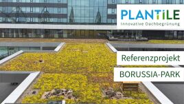 Referenz BORUSSIA-PARK Mönchengladbach – 1.900 m² Dachbegrünung mit Plantile®