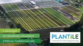 Vom Beet aufs Dach – Plantile® aus der Gärtnerei Viehweg