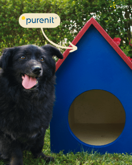 🐶💙 purenit für die Katz? Ganz im Gegenteil!