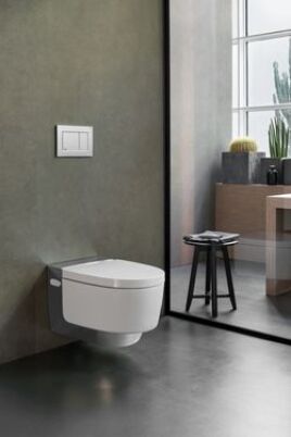 Gute Gründe für Geberit AquaClean